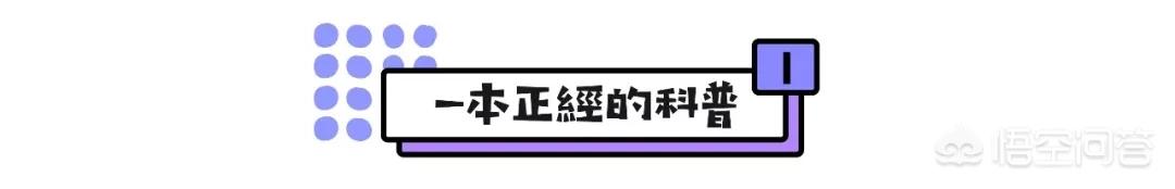 美妆品类好物国货
