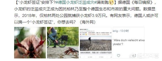 海外生活挣钱买美食，海外卖什么好