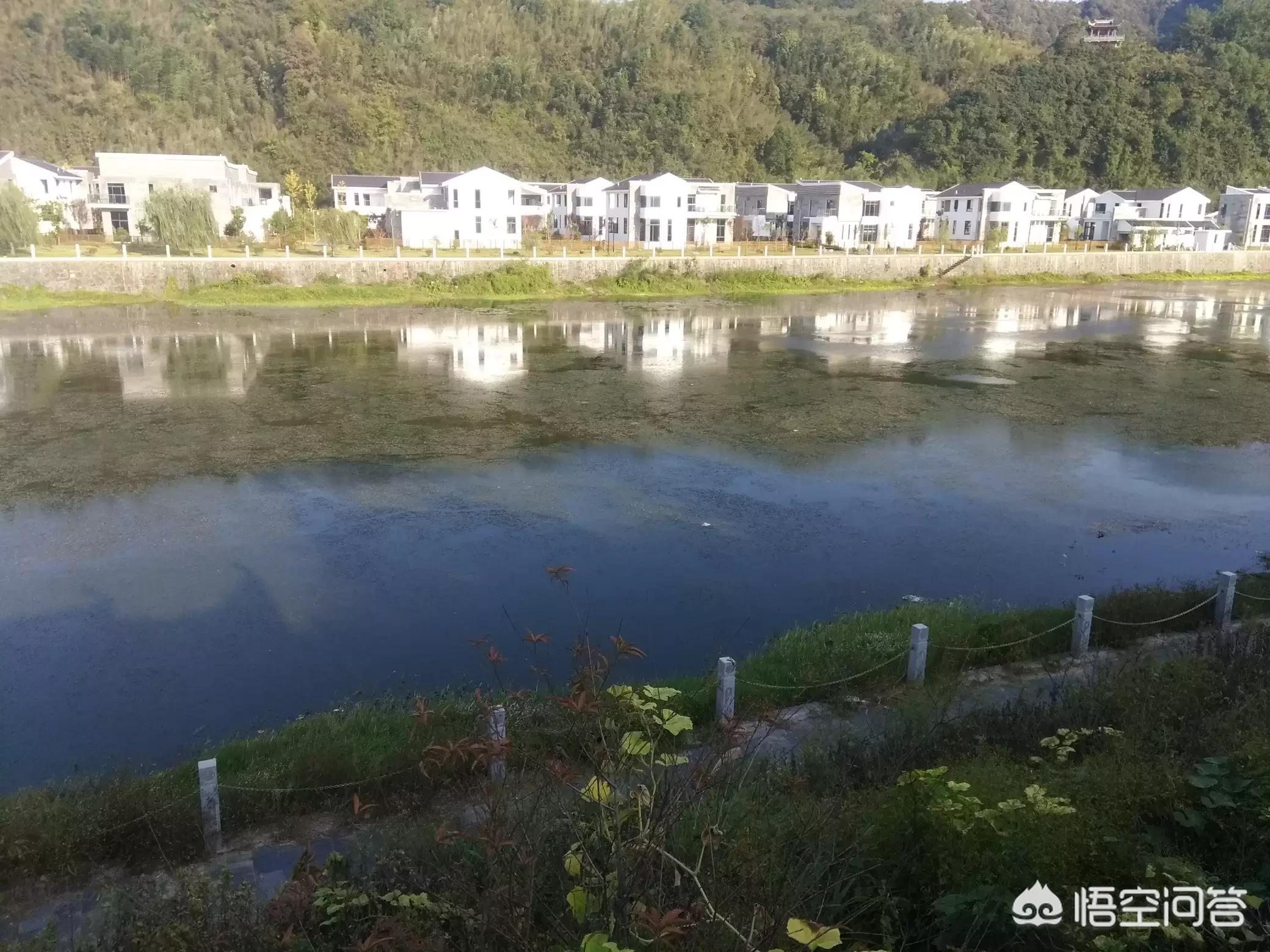 [花3千救约800万财产]800亿资产的饰品女皇周晓光，如今负债近500亿，集团重组后还能归来吗？我的预猜难？