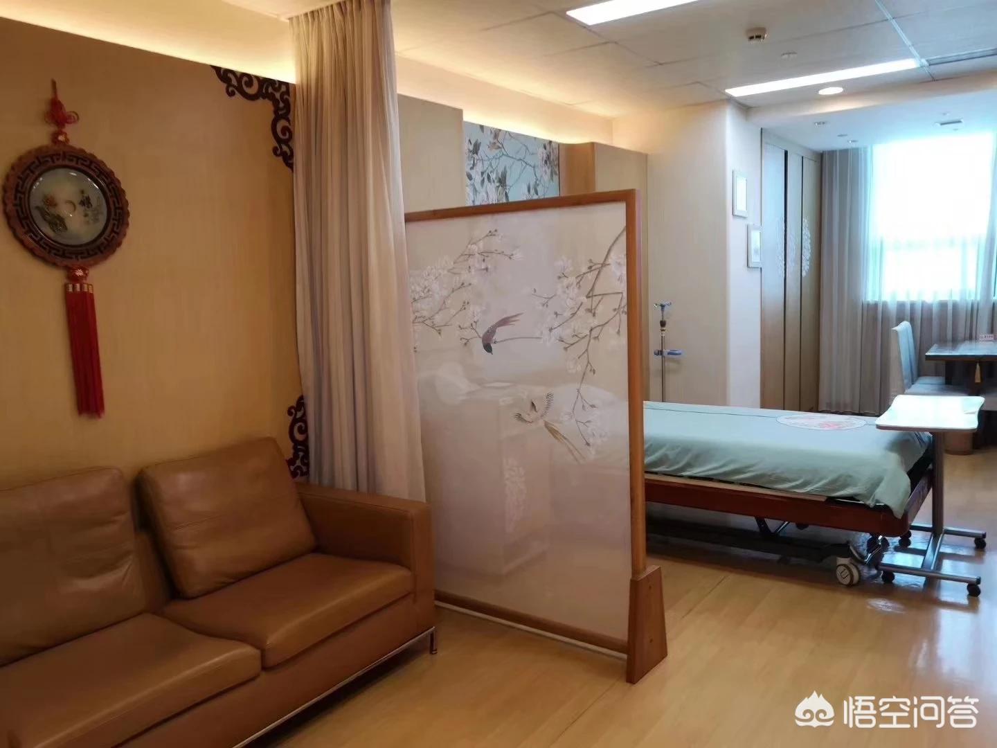 海外生活的娜姐是谁呀，海外生活的娜姐是谁呀视频