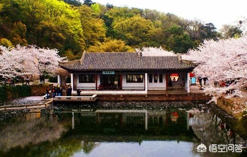 大连市和佛山市哪个好