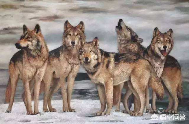 武汉市要逐步推行什么 武汉市要逐步推行什么