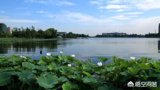 南宁市明湖花园怎么走