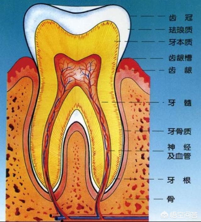 海外生活日常记录欧美，海外生活日常记录欧美AV