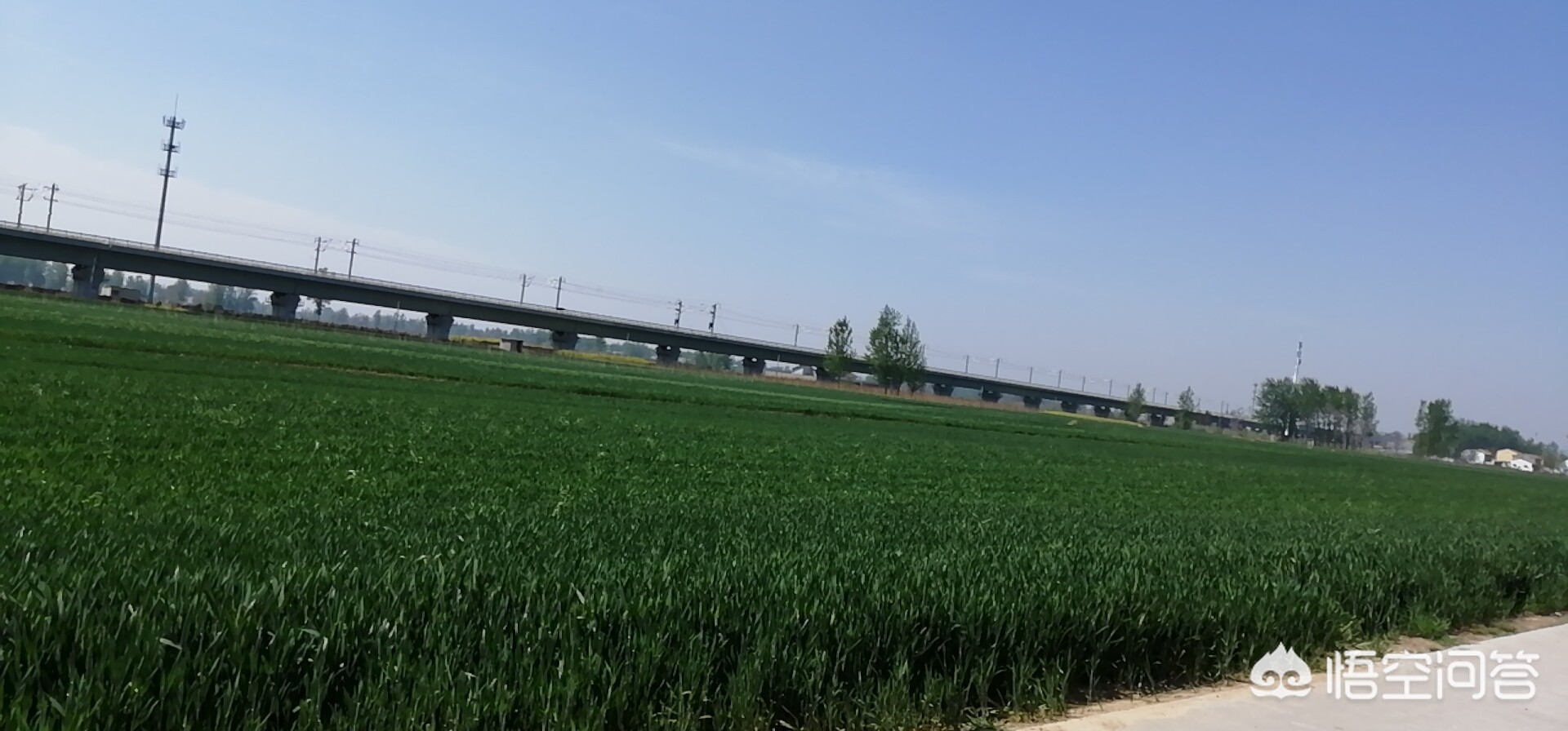 婉言拒绝是什么意思？：拒绝