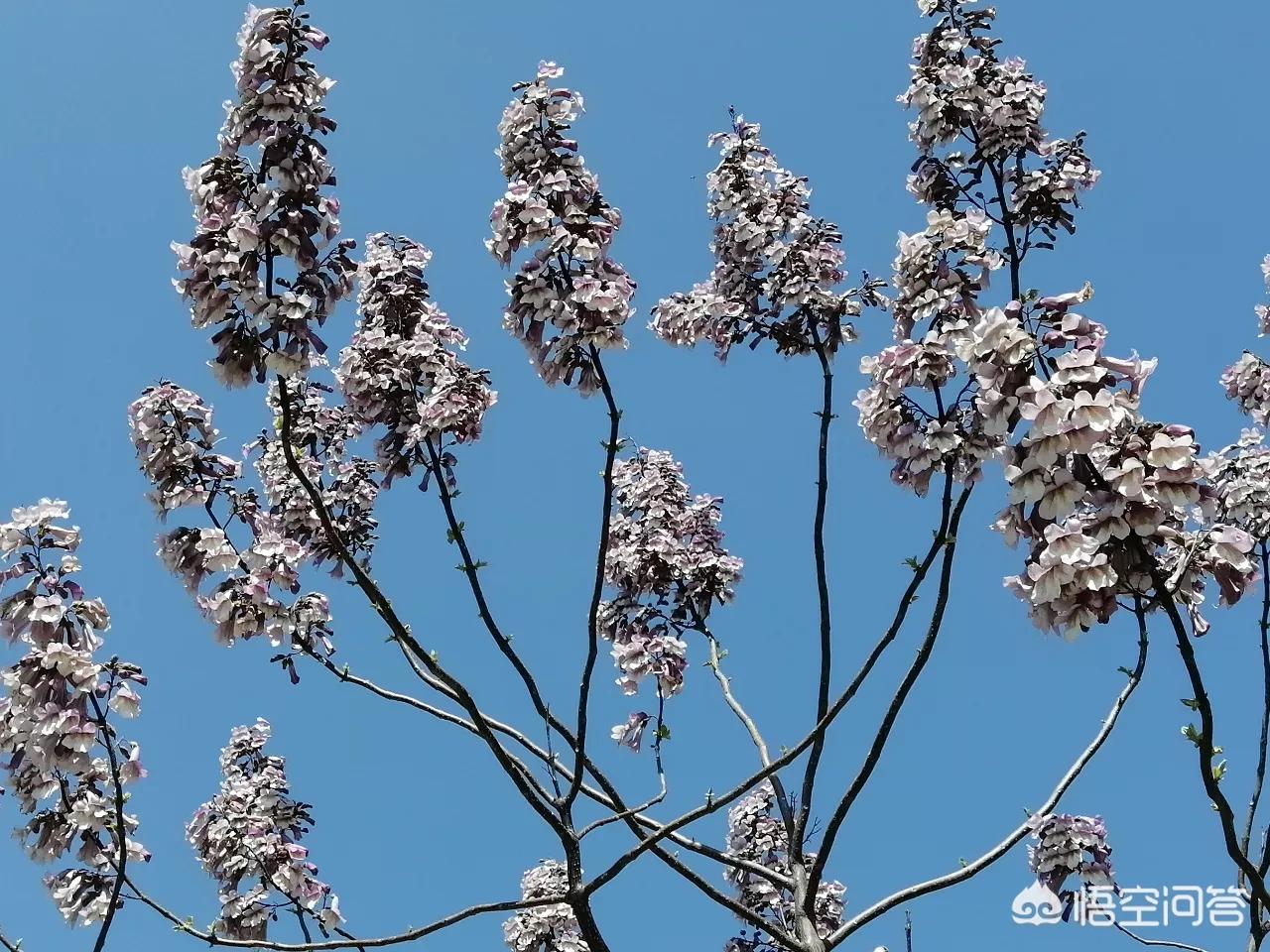 婉言拒绝是什么意思?:拒绝 婉言拒绝是什么意思?:拒绝