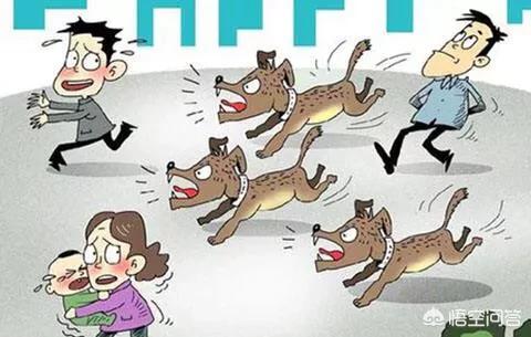 被狗绊倒刺死老太