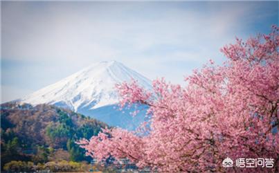 和日本女友的海外生活日记，和日本女友的海外生活日记