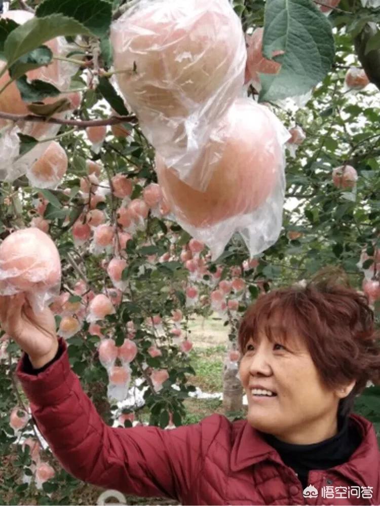 各品牌库存汽车报价图片,各品牌的车的图片和价格