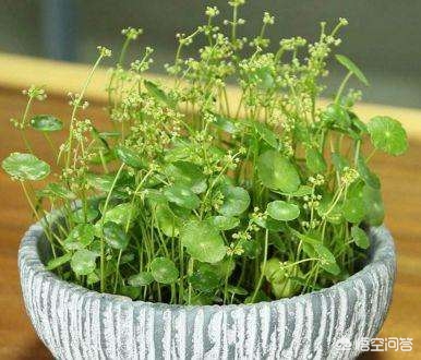 在家里你最喜欢做的事情是什么?:家里的 在家里你最喜欢做的事情是什么?:家里的