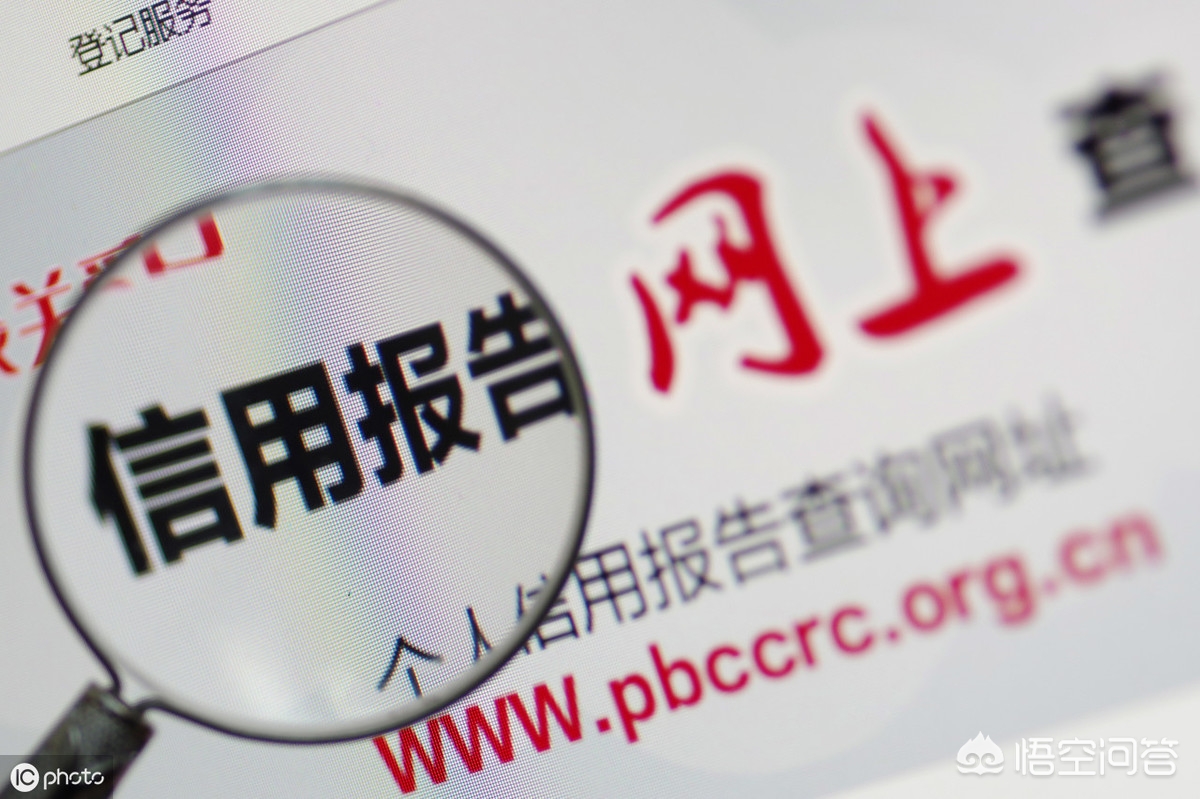 征信查询搭建网站