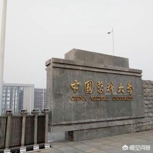 在合肥复读,哪家学校比较好? 在合肥复读,哪家学校比较好?