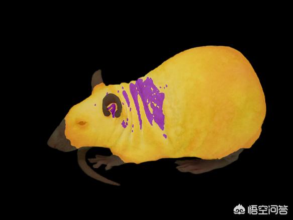 无法触碰的掌心晴人三种结局？：无法触碰的掌心