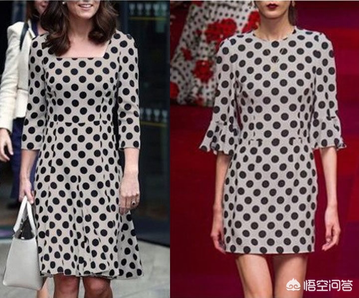 春天的花图片(春天的手抄报简单?) 春天的花图片(春天的手抄报简单?)