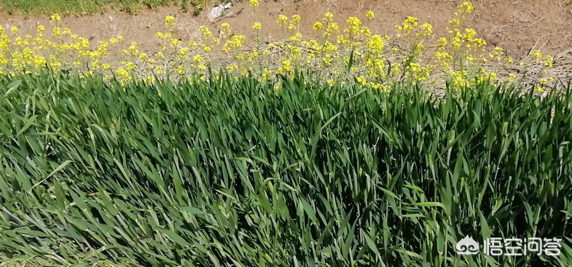 婉言拒绝是什么意思？：拒绝