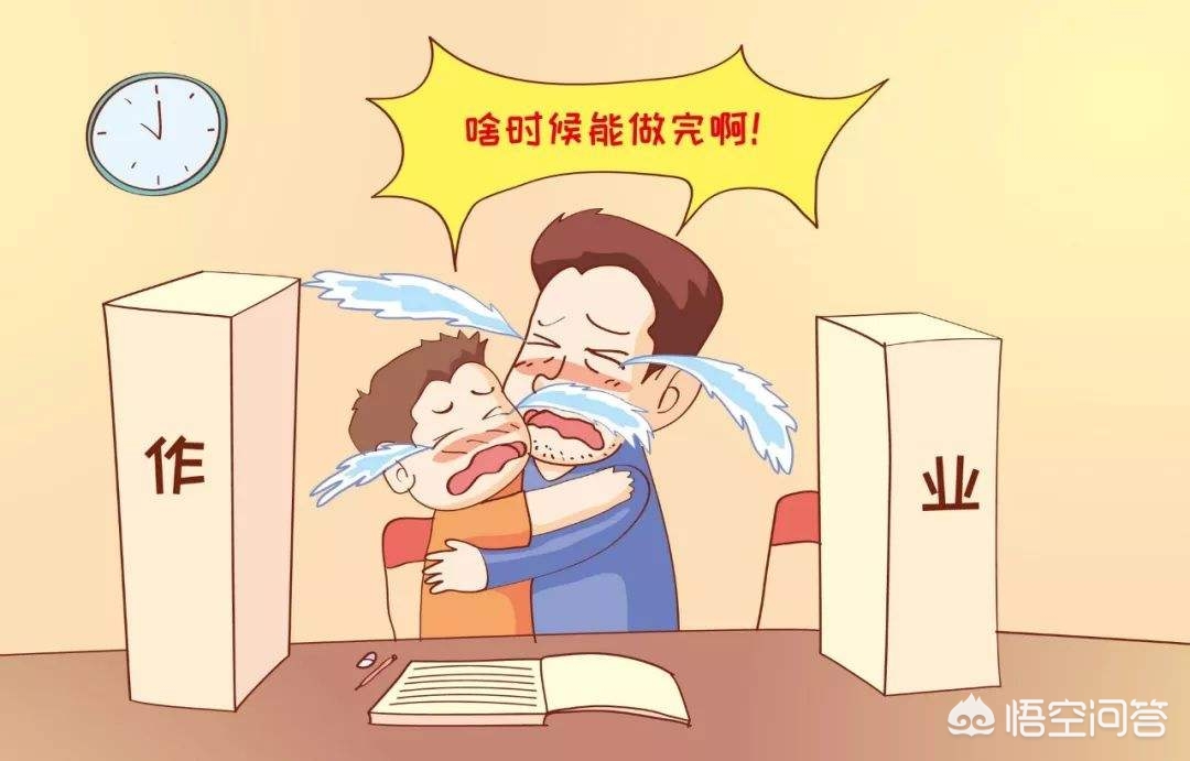福建的书包怎么样