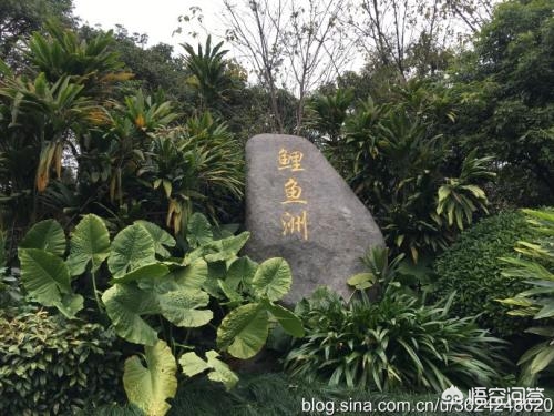 [停车5小时被收300]载同事上班，街边停车罚了300元，这个钱要不要平摊？