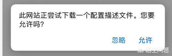 搭建网站服务端