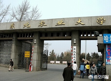 东北省和河南哪个发达些