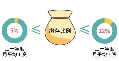 公积金查询个人账户app，公积金查询个人账户余额