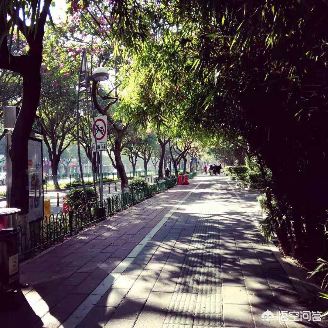 大连市和厦门市哪个好
