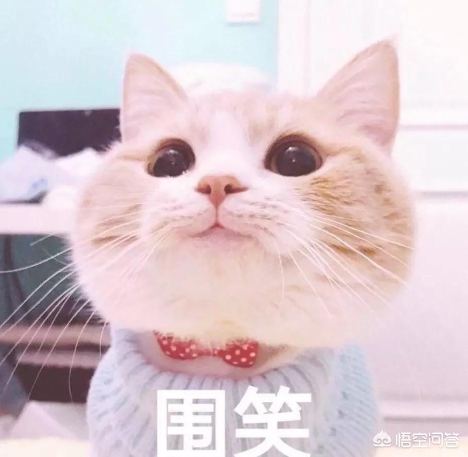 美妆品类好物国货
