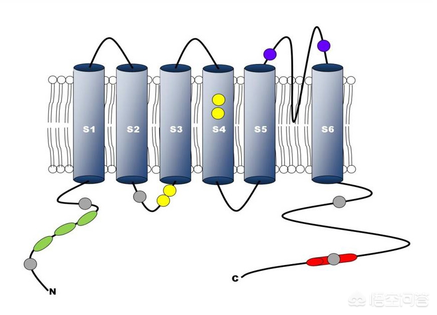 无法触碰的掌心晴人三种结局?:无法触碰的掌心 无法触碰的掌心晴人三种结局?:无法触碰的掌心