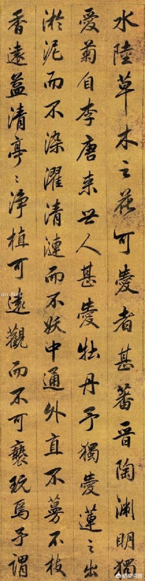 草书字帖行楷字体临摹