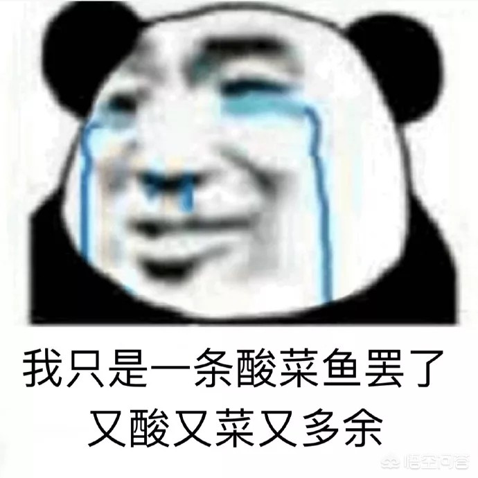 免费搭建网站主站