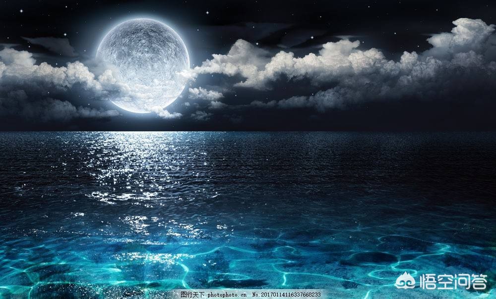 网站设计制作费用多少,求一个壁纸,晚上的大海波光粼粼倒映着城市的灯光,有一艘游轮飘在海上,很像香港或者?