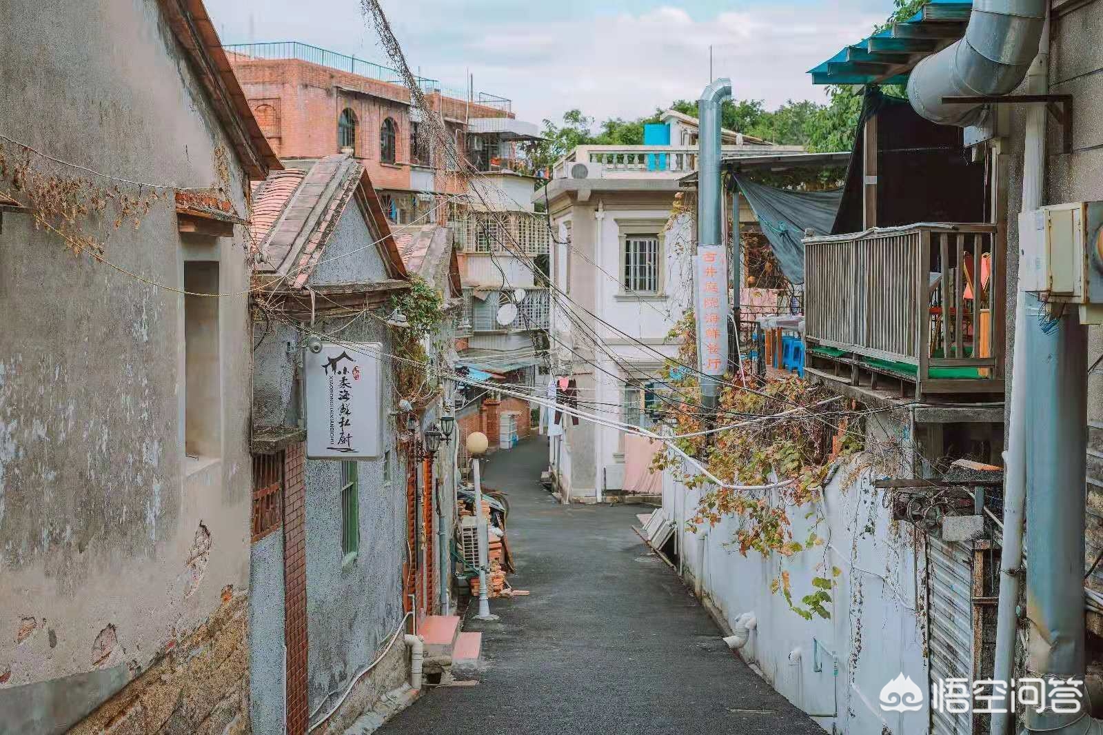 大连市和厦门市哪个好