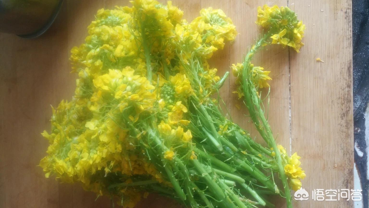 网络推广方式（网络营销包括哪些？）