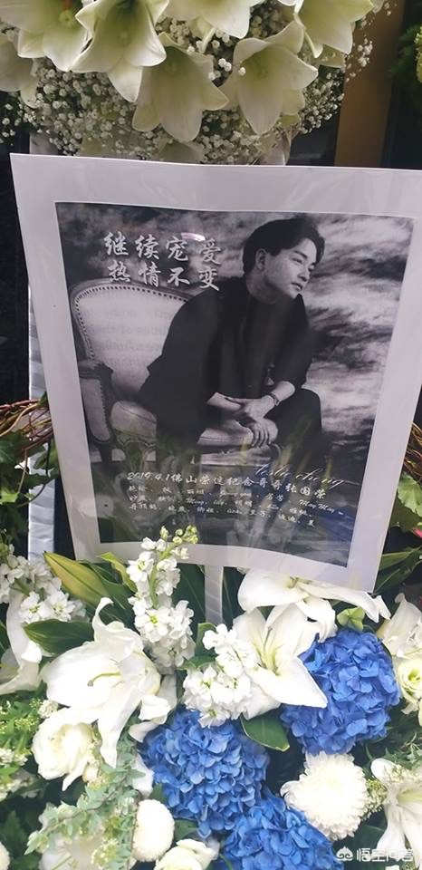 谭咏麟歌迷海外生活视频，谭咏麟歌迷海外生活视频播放