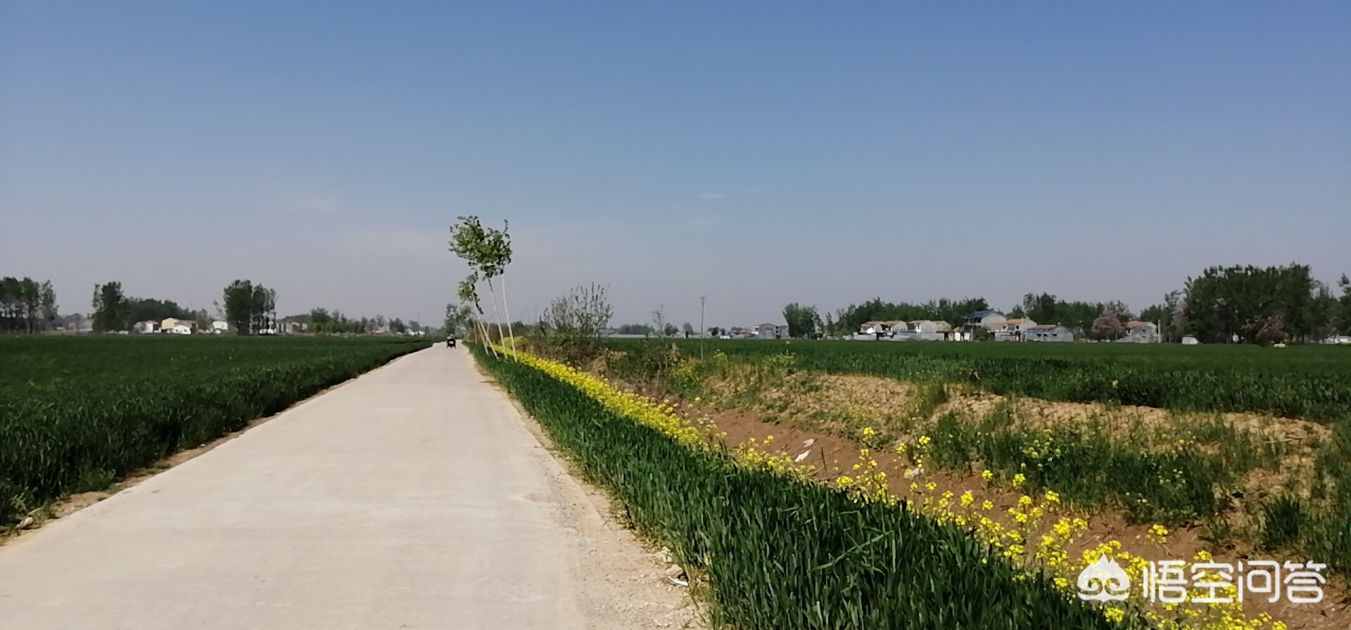 婉言拒绝是什么意思？：拒绝