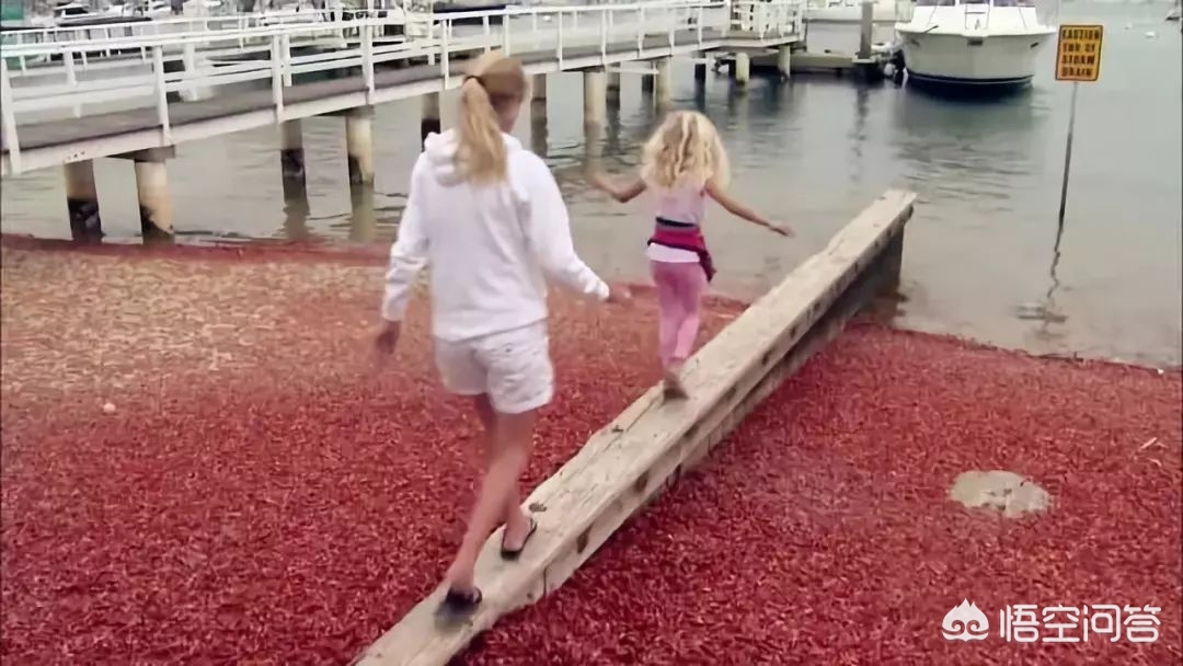 海外生活挣钱买美食，海外卖什么好
