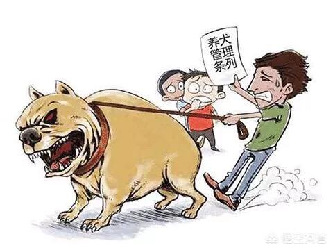 被狗绊倒刺死老太
