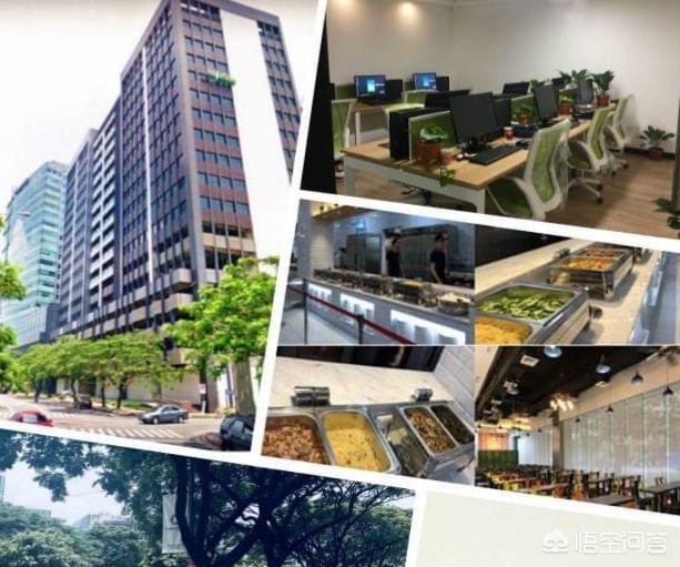 海外生活大不同，海外的生活