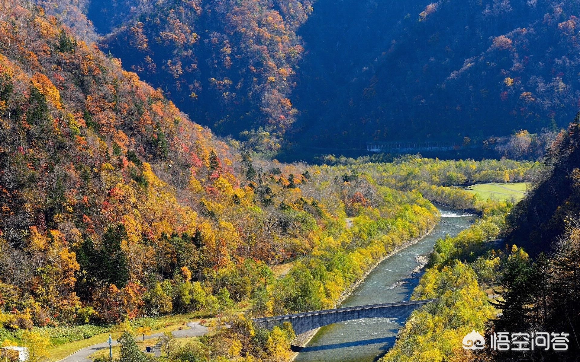 保险公司利润十大排名，2025年保险公司利润排行榜