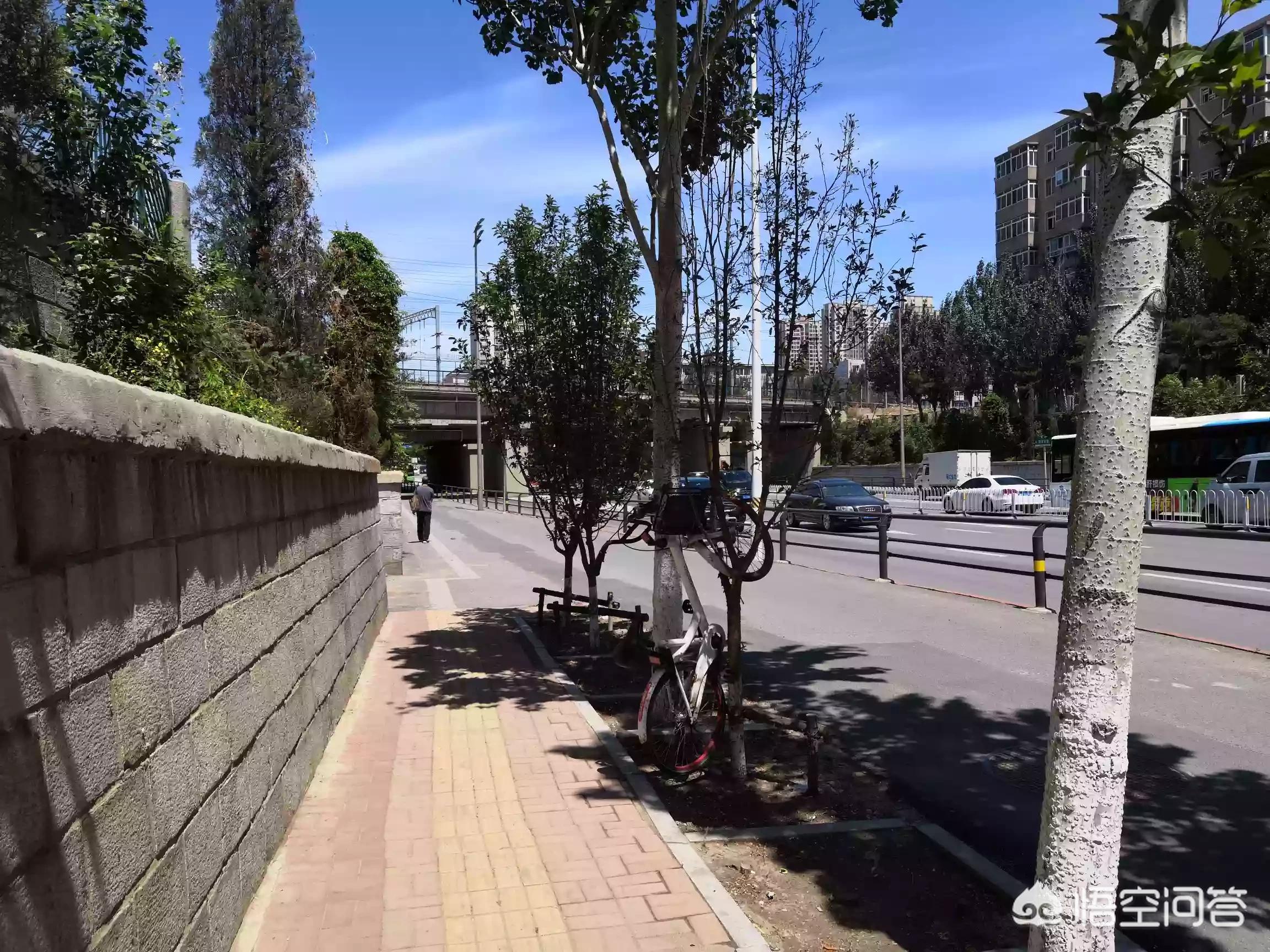 沈阳共享单车现状调查：单车仍在前行，共享仍在路上, 你怎么看？