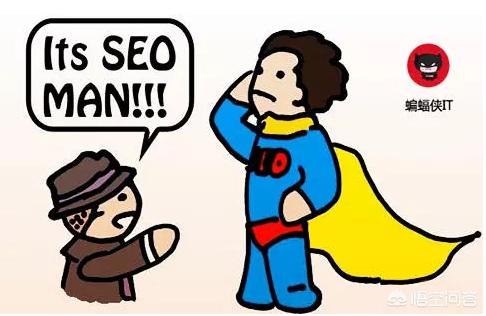 seo搜索排名优化多久更新一次