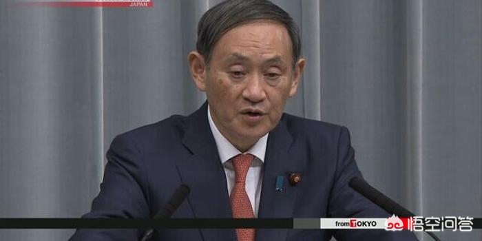 海豹的海外生活，海豹的海外生活视频