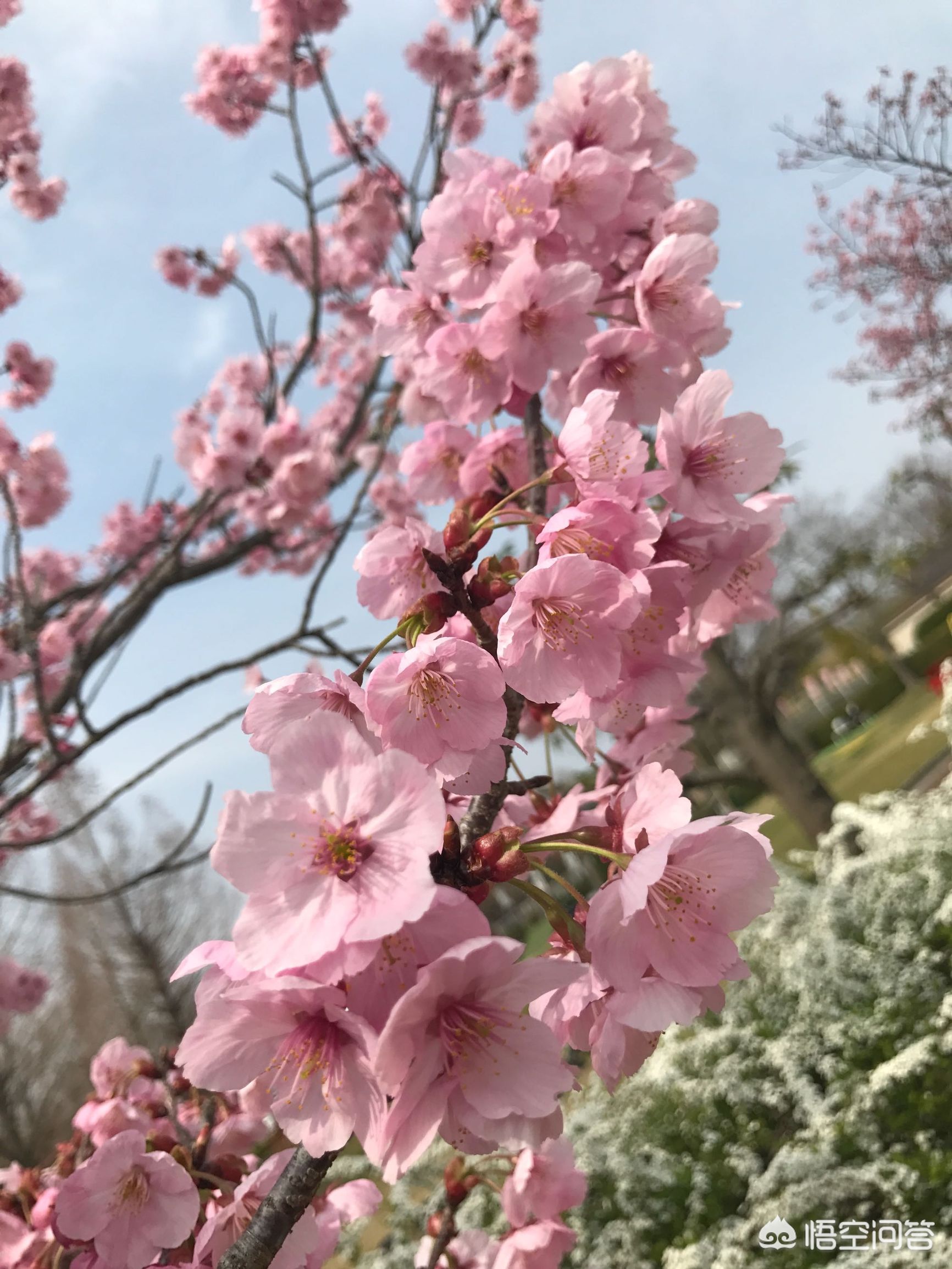 记录海外生活快乐之旅，记录海外生活快乐之旅的软件