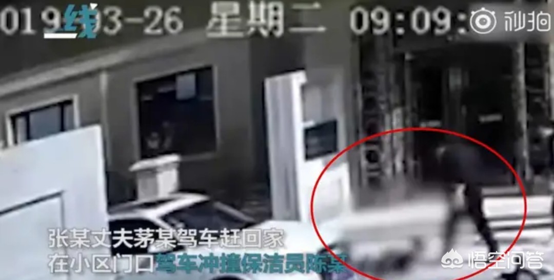 江苏一保洁员阻止狗狗在电梯里排便，狗主人夫妇联手打人被拘留并罚款，大家怎么看？：乘电梯被狗扑咬出血