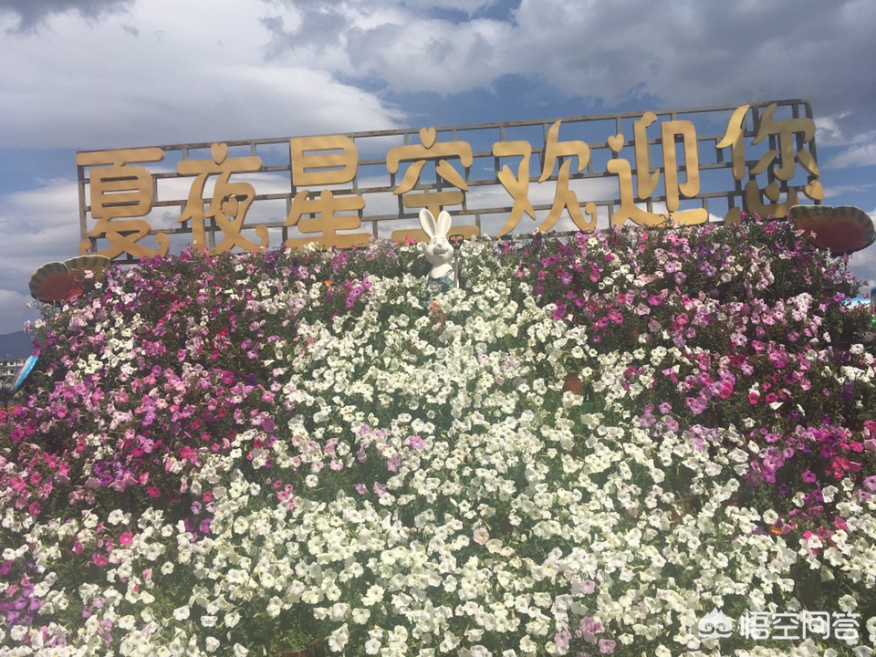 海外生活的中国人那么开心，在海外生活的中国人叫什么