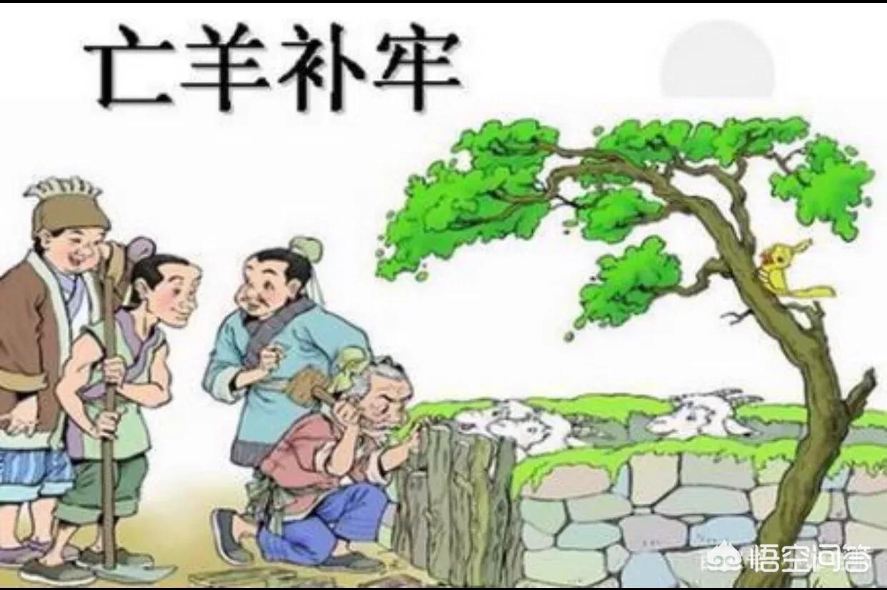[冒充董事长诈骗60万]冒充公司老总要求转账，义乌一财务未加核实被骗45万元, 你怎么看？