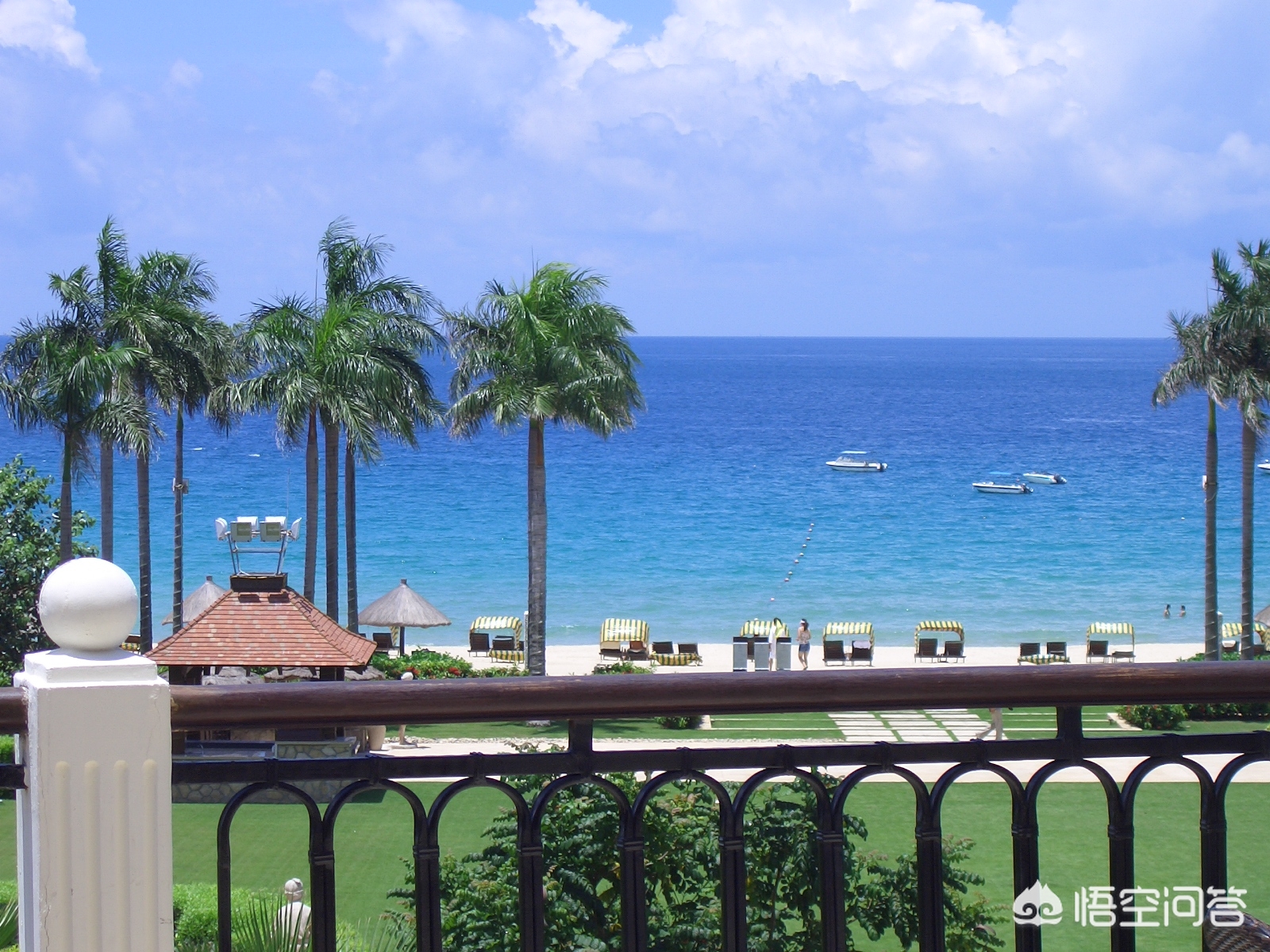 纸飞机购买服务如何投诉 纸飞机购买服务如何投诉