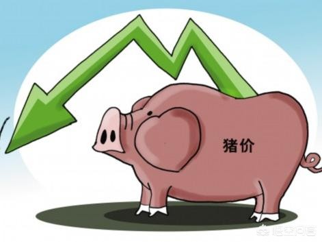 5月汽车报价,5月汽车排行榜