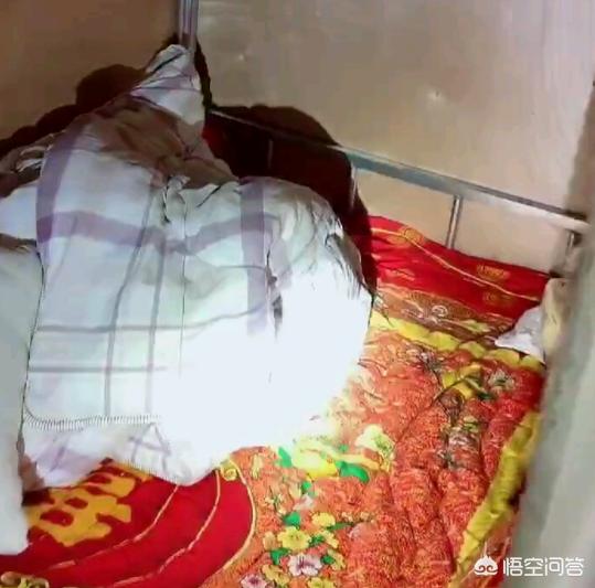 新生被迫住高价宿舍