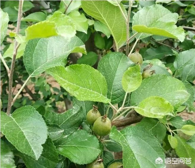 各品牌库存汽车报价图片,各品牌的车的图片和价格