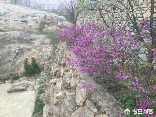 大连市有什么景点值得去